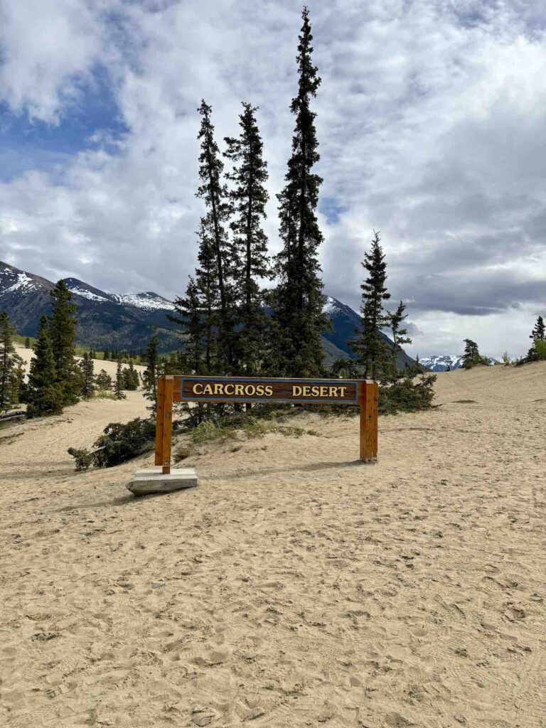 Carcross désert