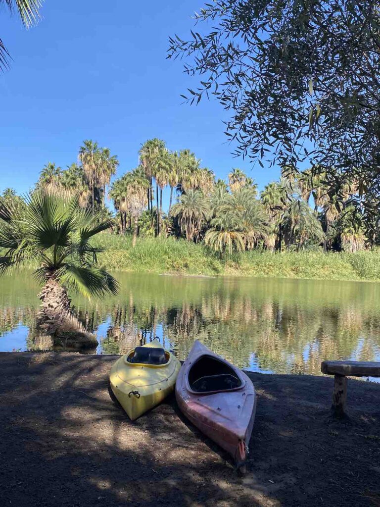 Oasis de San Ignacio, Basse Californie