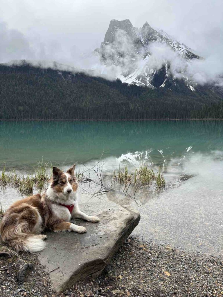 Lixy à YOHO National Park