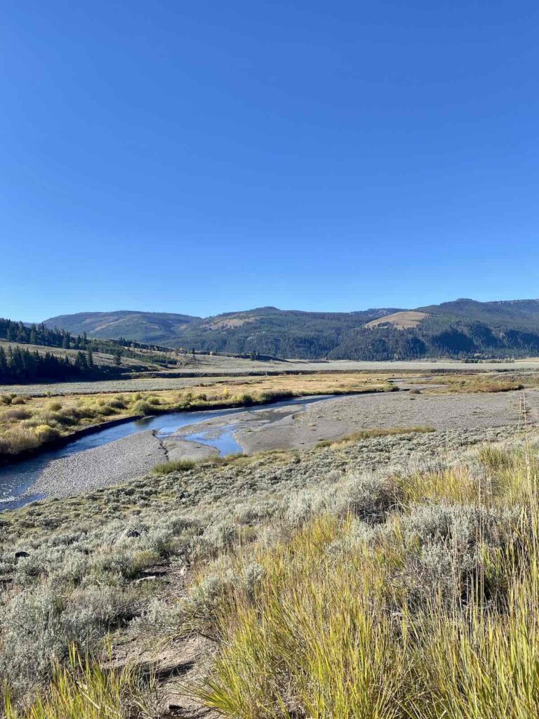 Lamar Valley