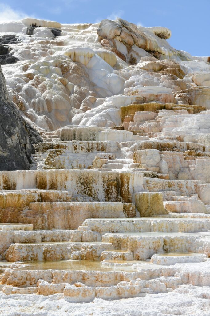 Mammoth Hot Springs