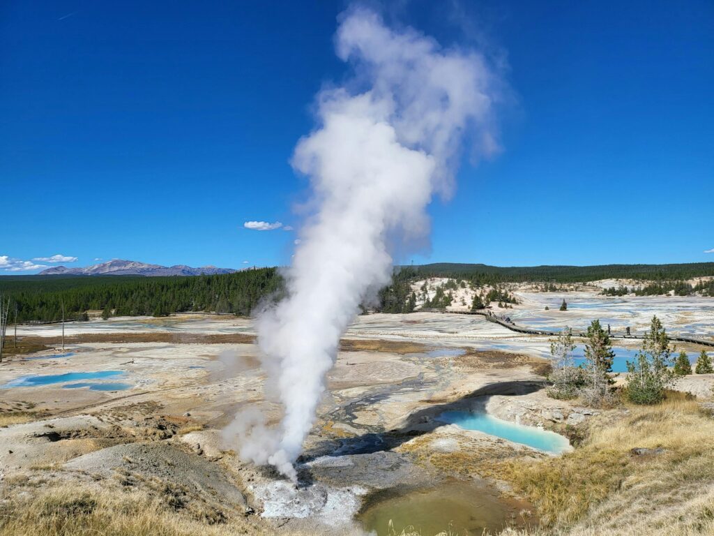 Norris Geyser Basin