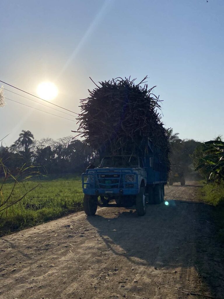 Transport de canne à sucre