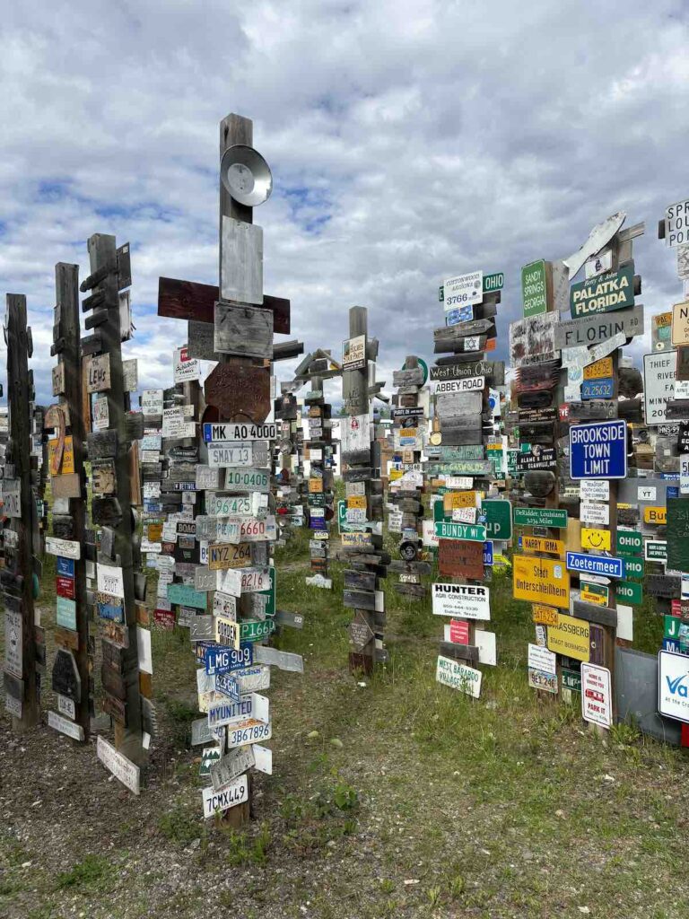 Sign Post Forest