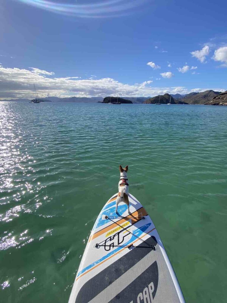 Paddle Playa Santispac