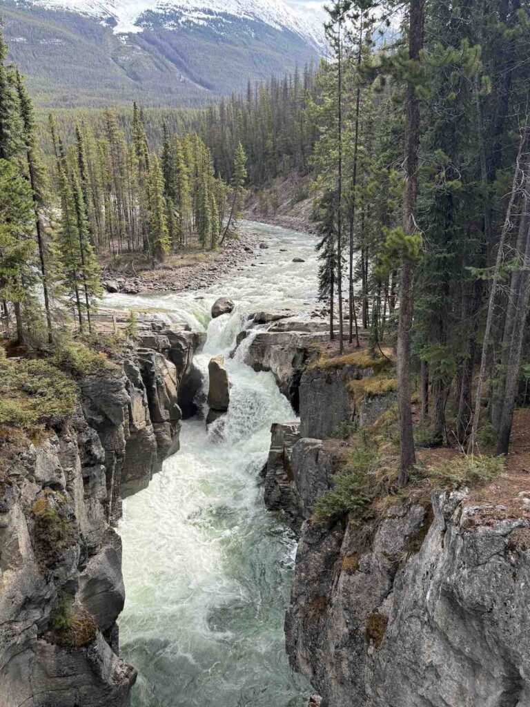 Sunwapta Falls