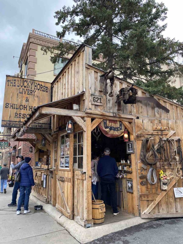 Une boutique dans la ville de Deadwood