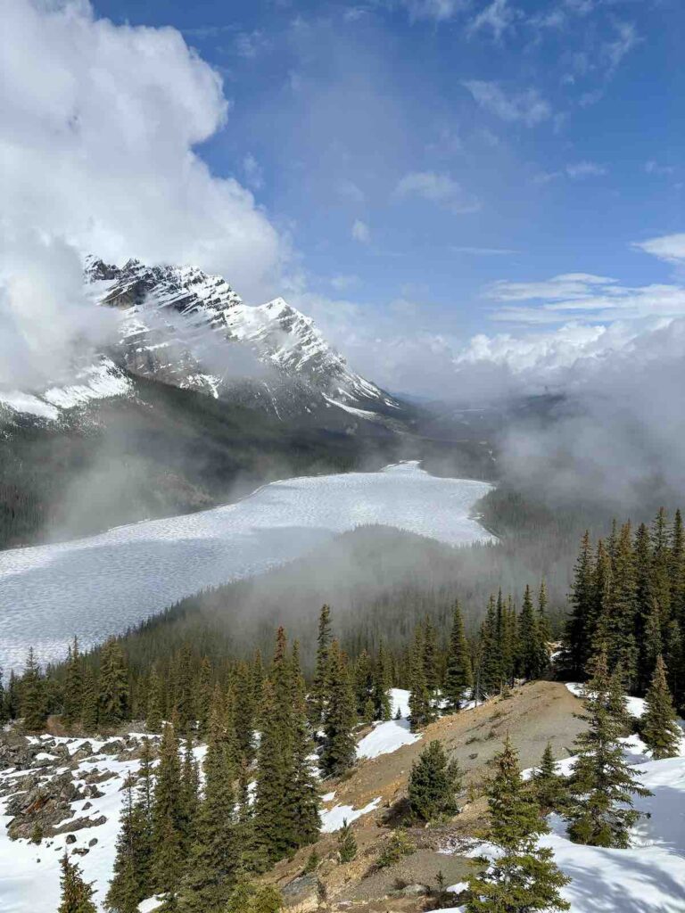 Point de vue sur le Lac Peyto