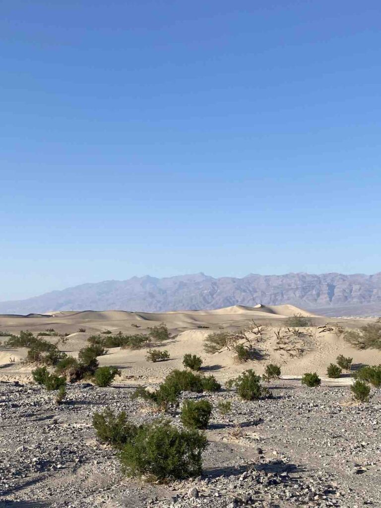 Mesquite Flat Sand Dunes à la vallée de la mort