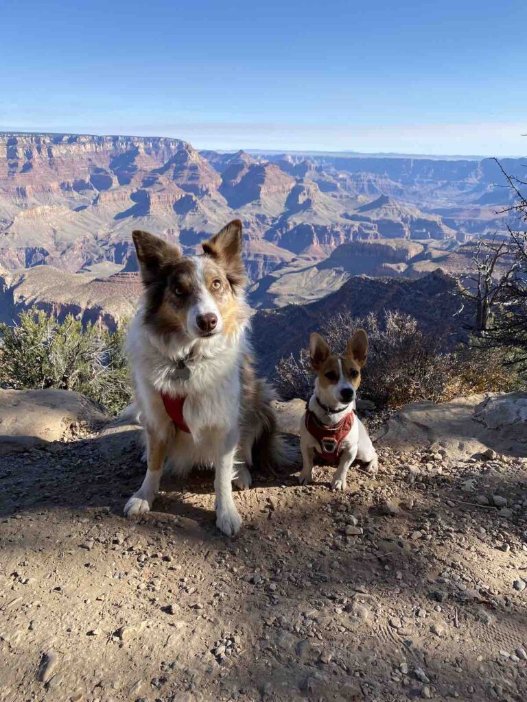  Grand Canyon 