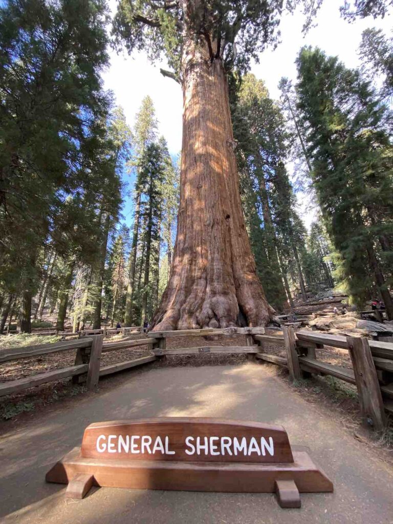 General Sherman