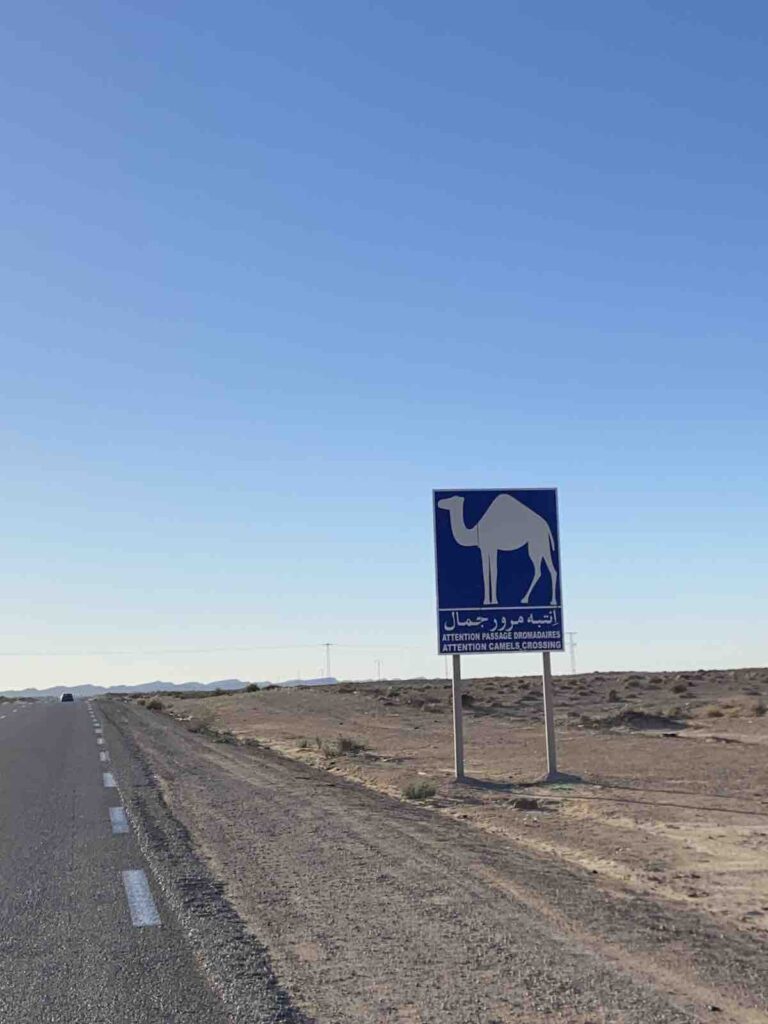 Panneau traversée de dromadaires