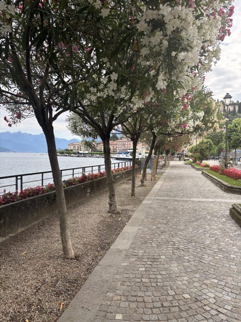 Promenade au bord du lac