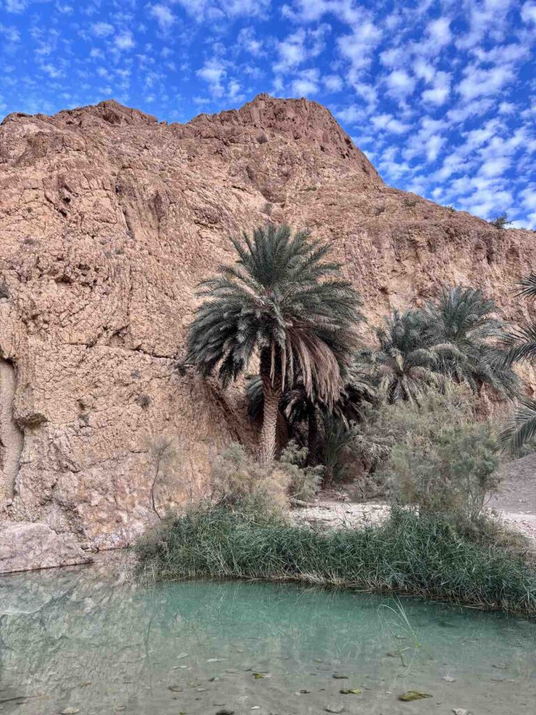 Oasis de Chebika, sous le ciel bleu