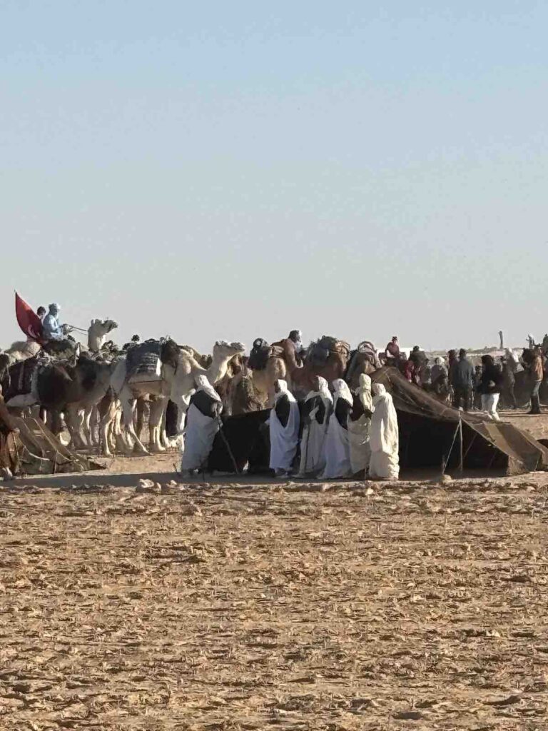 Les tentes traditionnelles, Festival International du Sahara