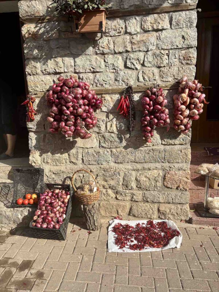 Vente d'oignons dans le village de Lin