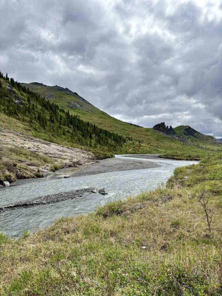 paysage le long de la Savage River