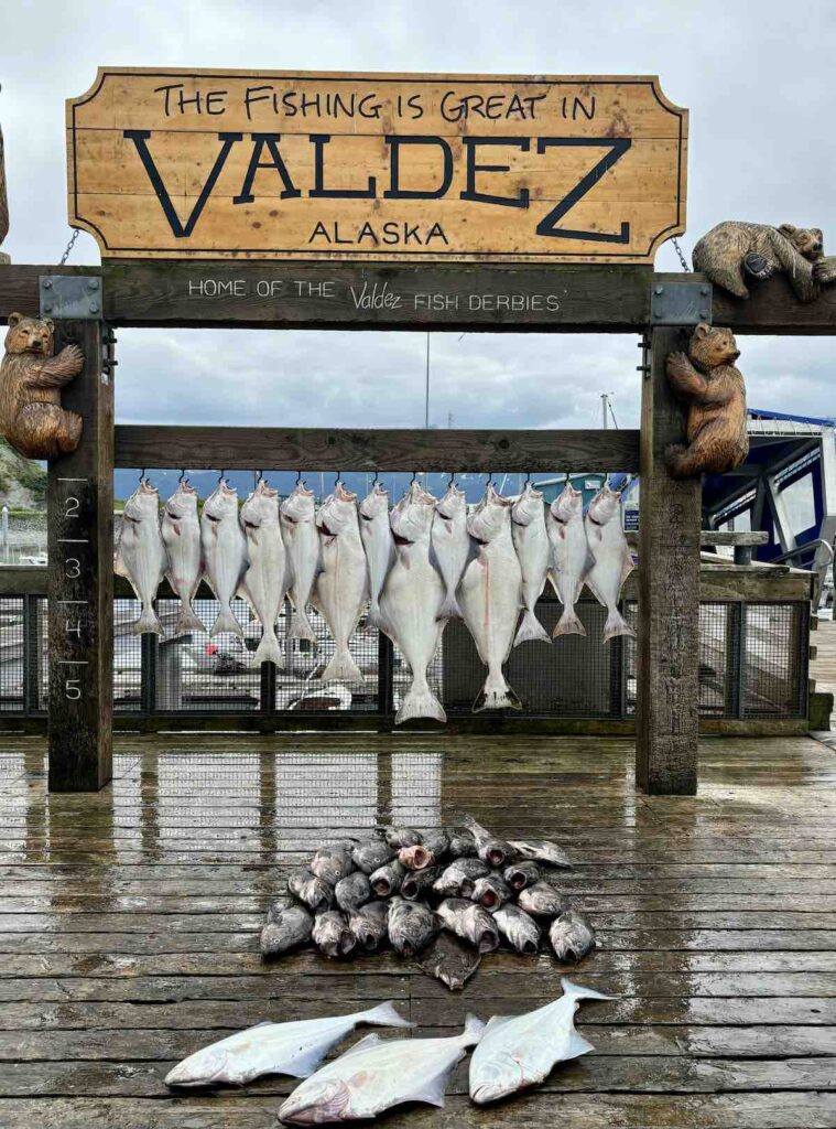Poissons au port de Valdez