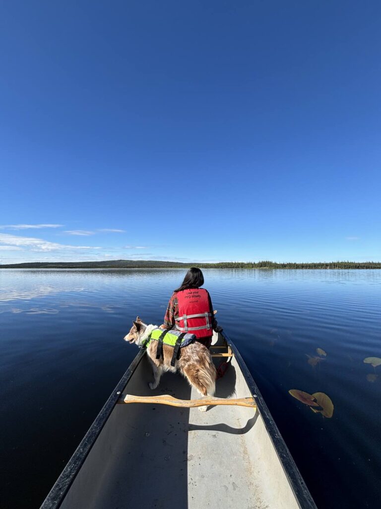 Canoës mis à disposition gratuitement