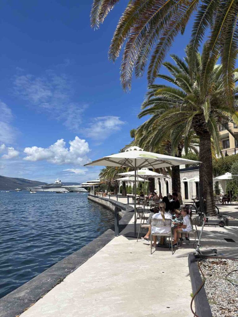 Balade à Tivat, promenade piétonne avec palmier et baie de Kotor